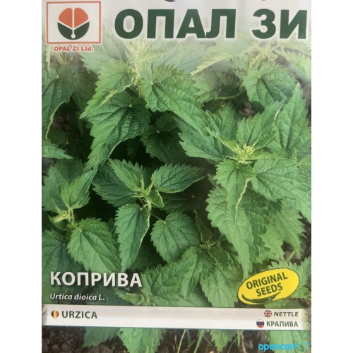 Seminte Urzica Dioica - Pentru cultivarea plantei utile in gradina