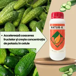 BIOPACK Stadiu 6 CASTRAVETI – Dimensiune, Culoare si Fortifiere