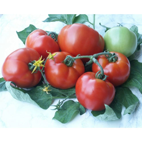 Seminte de tomate (rosii) PARRIS F1, hibrid extratimpuriu