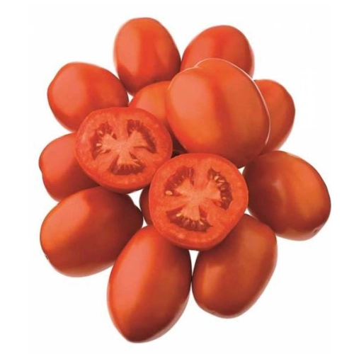 Seminte de Tomate (rosii) JAG 8810 F1, hibrid de ultima generatie